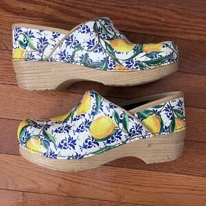 Dansko Clogs